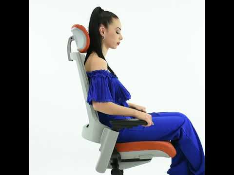 SILLA DIRECCION BM 7900 G