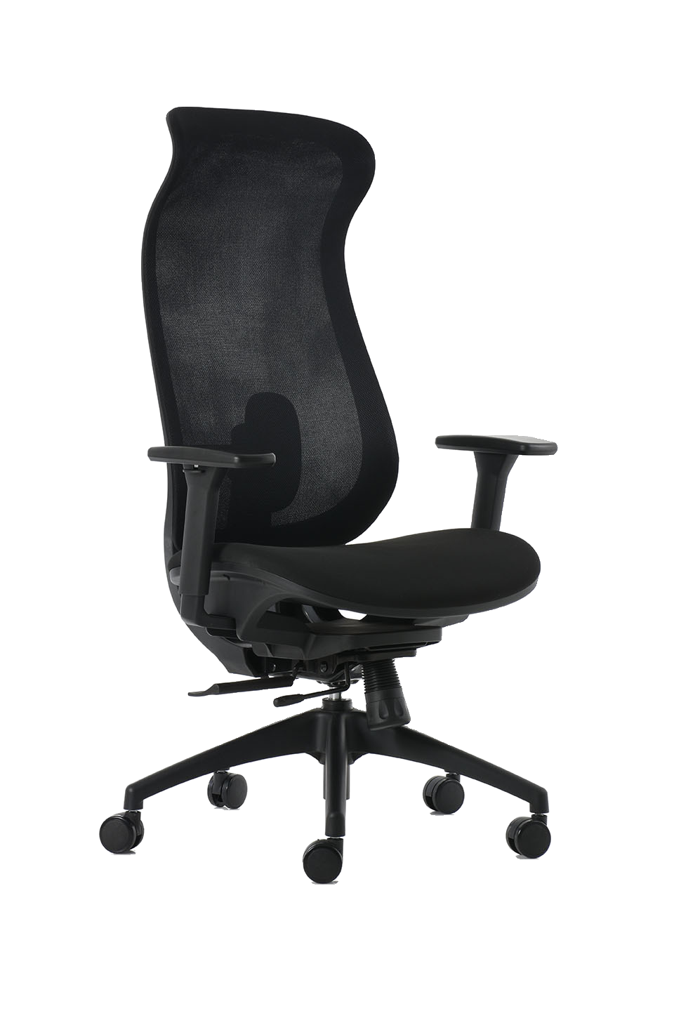 Silla Directiva BM 6000, vista 1
